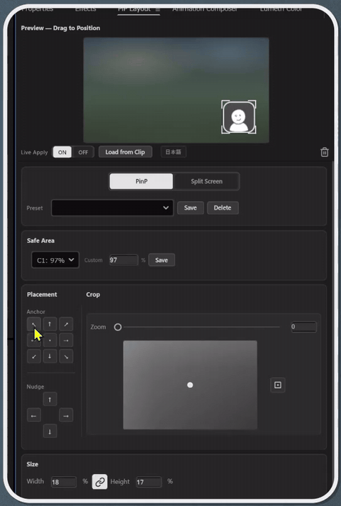 PiP Layout ピクチャー・イン・ピクチャー（PinP）の操作パネル