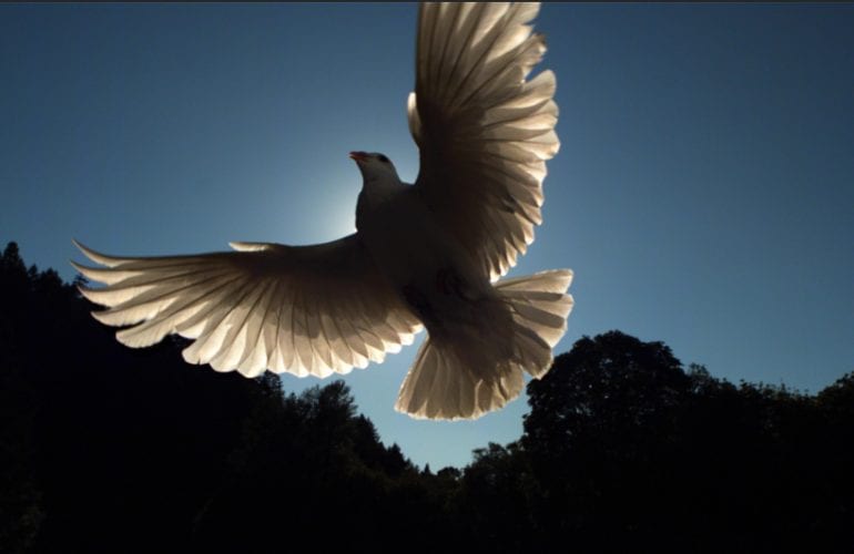 HitFilm Ignite Pro 4 - フラッシュバックジャパン