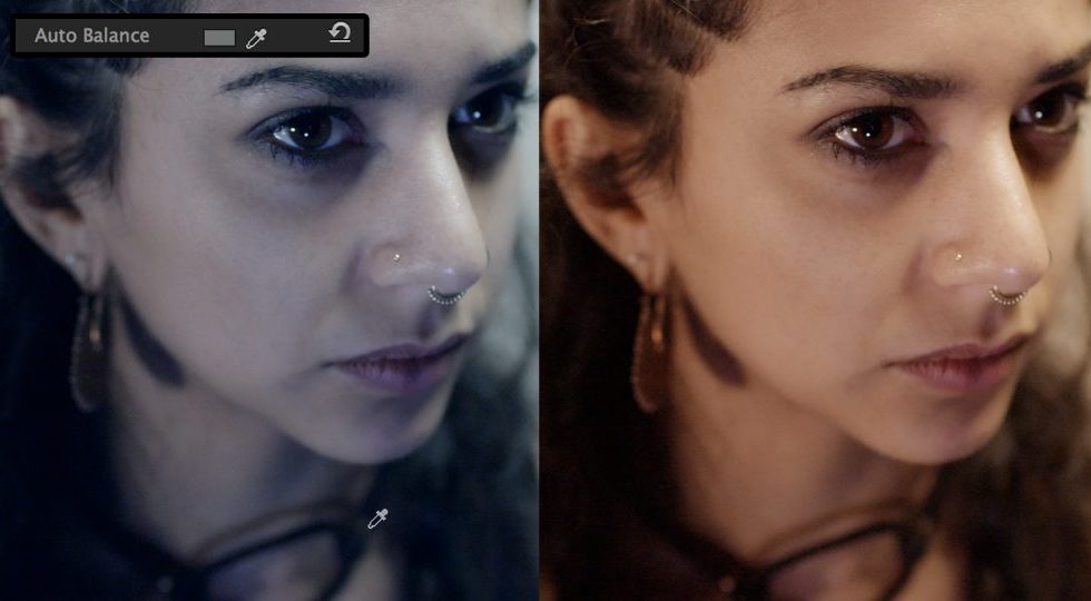 Magic Bullet Colorista IV Auto-Balance-large