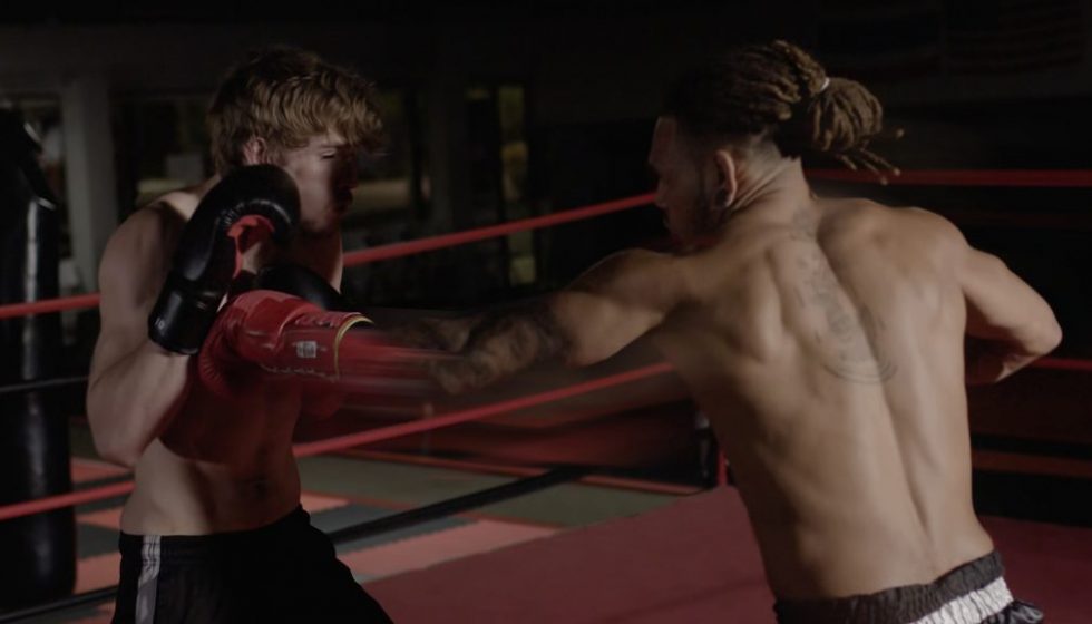 Magic Bullet Denoiser III Faster