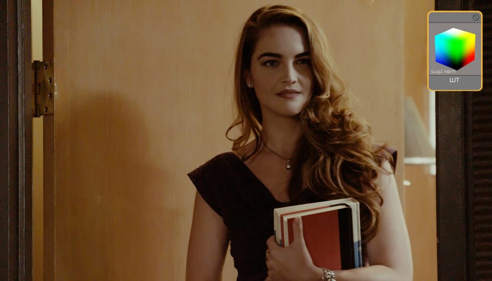 Magic Bullet Looks 4 LUT