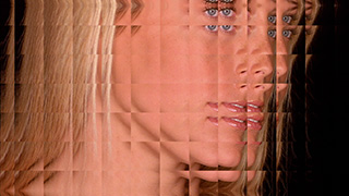 [Stylize] S_FlysEyeRect