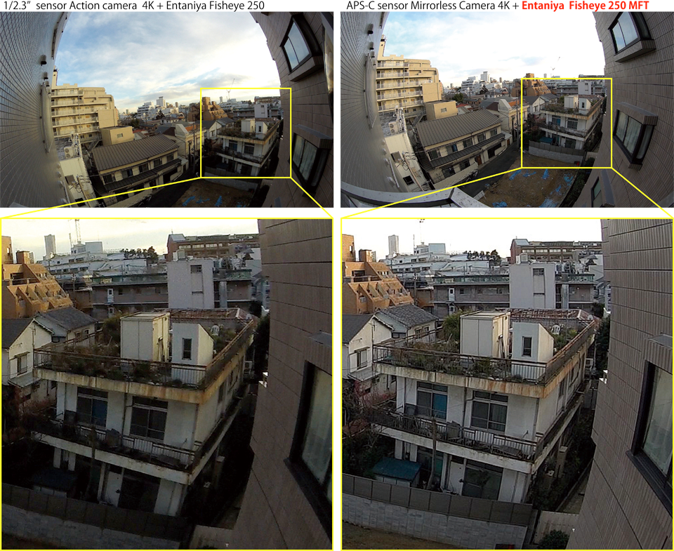 Entaniya Fisheye 250 MFT 3.6 - Flashback Japan Inc Entaniya Fisheye 250 MFT 3.6 - Flashback Japan Inc