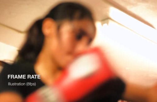 Frame Rate