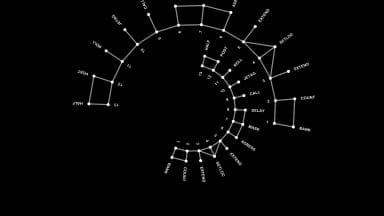 Nodes-Double-Circle-Black