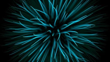 Nodes-Spherical-Creature