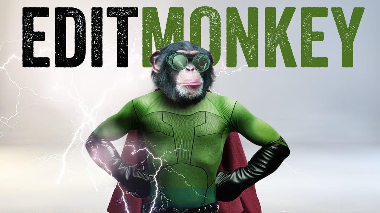 MONKEY MARK ダイノ・パラシュート猿 グラフィックアート A1サイズ MONKEY MARK ダイノ・パラシュート猿 グラフィックアート A1サイズ