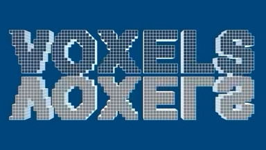 Voxels Reflection