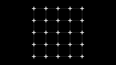 5×5 Grid With Pluses