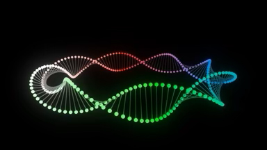 DNA Loop