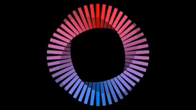 Donut Chart