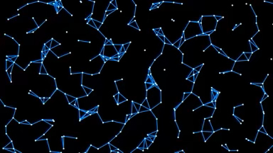 Dynamic Connections