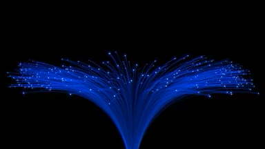 Fiber Optic