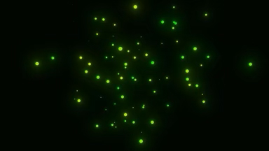 Fireflies