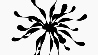 Floating Silhouette
