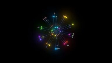 Graphic Reveal
