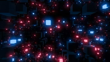 Night Bloom Universe