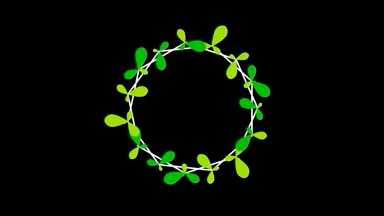 Petal Crown