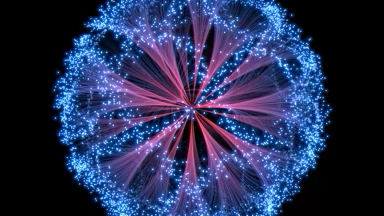 Space Urchin