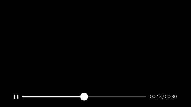 Luca Visual FX Progress Bars - Flashback Japan Inc