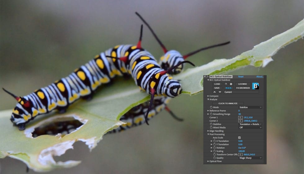 bof_continuum_optical_stabilizer_OptStab_9