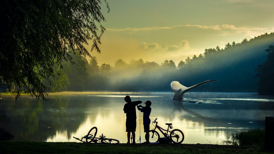 VFX_Reflection_Visual_Effects