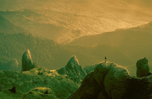 [Grads/Tints]Colorize Gradient