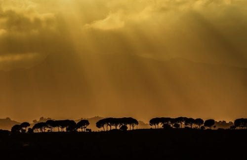 [Grads/Tints]Dual Gradient 