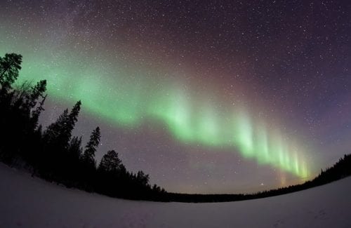 [Lens]Lens Distortion