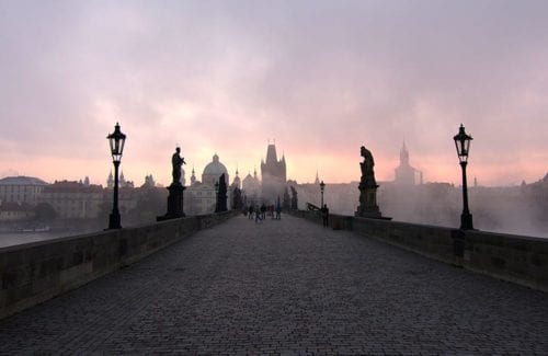 [Light]Ambient Light