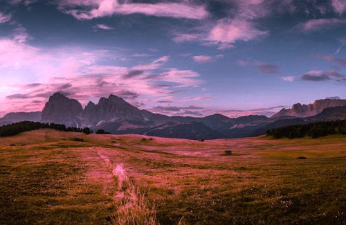 [Stylize]Color Infrared