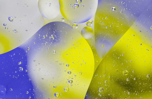 [Stylize]S_DogVision