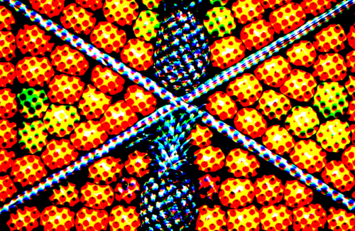 [Stylize]S_HalfToneColor