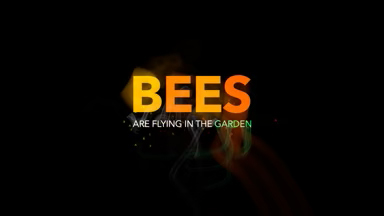 Bees-Flying-Trails-2