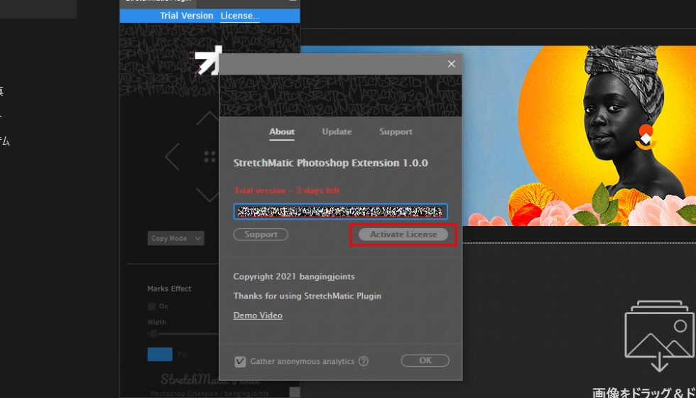aescripts + aeplugins社 エクステンション製品 ライセンス認証方法:Step 3