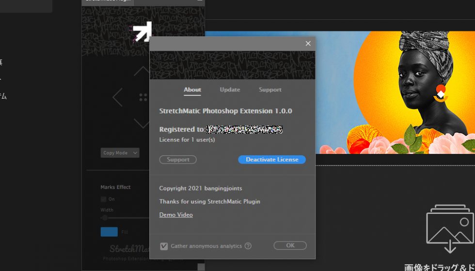 aescripts + aeplugins社 エクステンション製品 ライセンス認証方法:Step 4