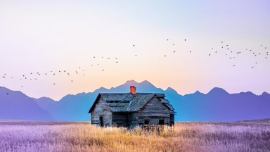 Perspective Coloration