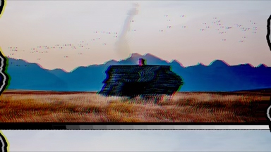 Surf ‘n’ Zoom
