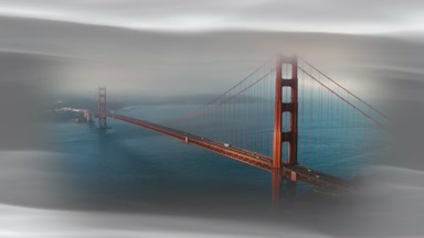 Bay Fog