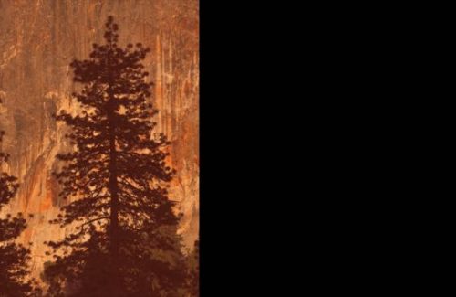 Push-Out-—-Multi-angle