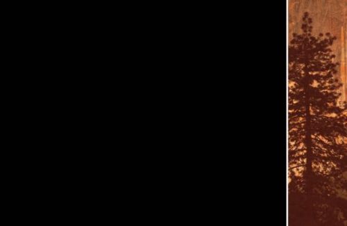 Wipe-Out-—-Multi-angle