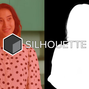 bfx_silhouette-2025-banner