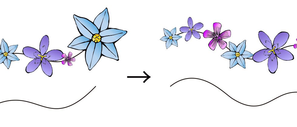 filterit_live_symbolpath_02