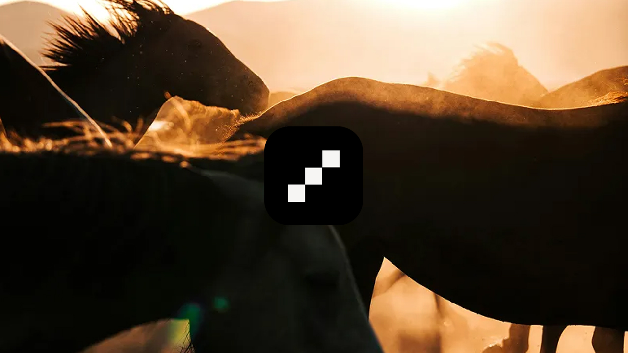 Topaz for Web - Video