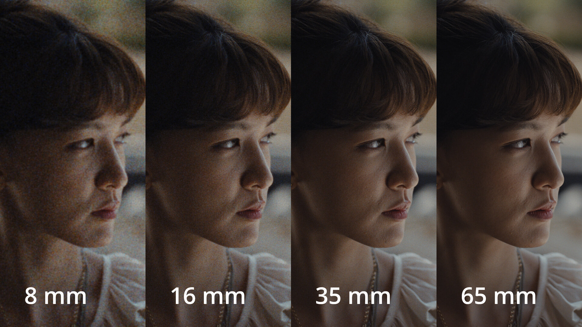 フィルムフォーマットの比較（8mm・16mm・35mm・65mm）