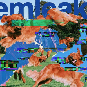 memleak_banner