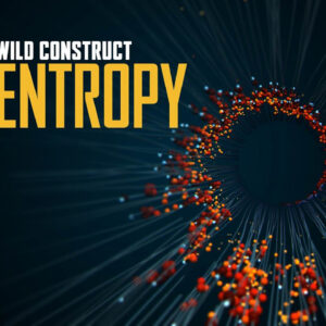 Wild-Construct-Entropy_banner