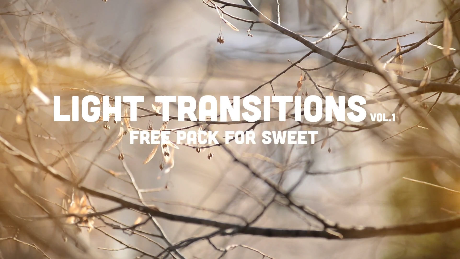 Sweet Light Transitions Vol.1 - フラッシュバックジャパン