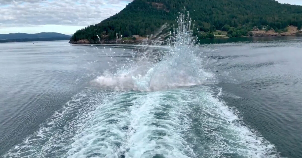 thinkingParticles 7 - Flashback Japan Inc