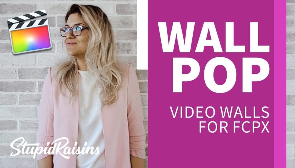Stupid Raisins Wall Pop 発売